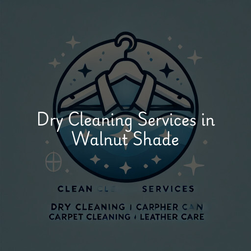 Find dry cleaning services in Walnut Shade
