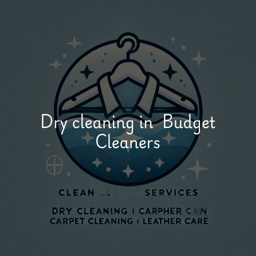 Dry Cleaning at  Budget Cleaners