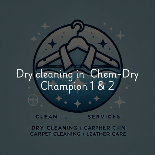 Dry Cleaning at  Chem-Dry Champion 1 & 2