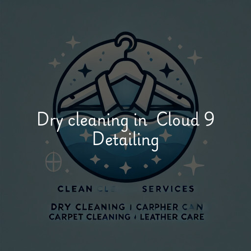 Dry Cleaning at  Cloud 9 Detailing