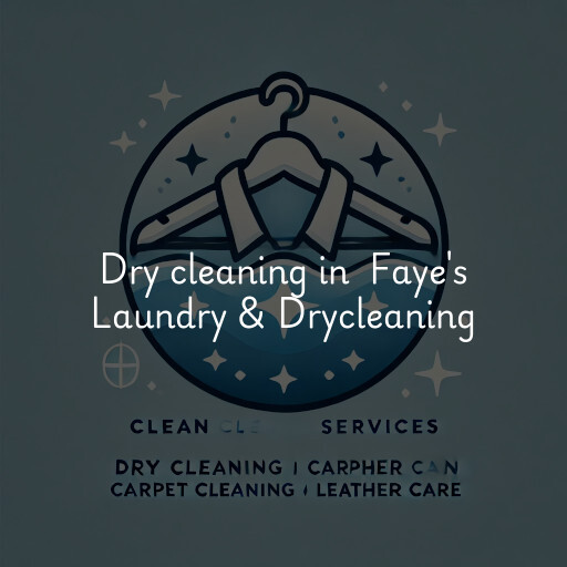 Dry Cleaning at  Faye's Laundry & Drycleaning