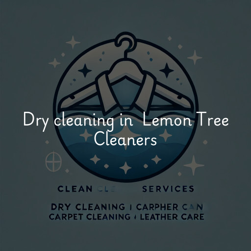 Dry Cleaning at  Lemon Tree Cleaners