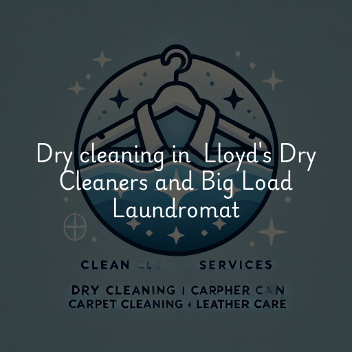 Dry Cleaning at  Lloyd's Dry Cleaners and Big Load Laundromat