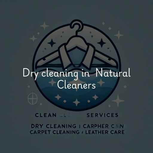 Dry Cleaning at  Natural Cleaners