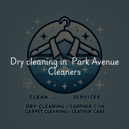 Dry Cleaning at  Park Avenue Cleaners