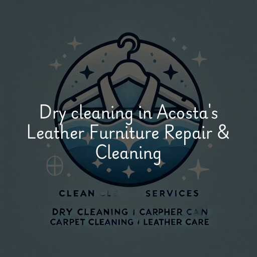 Dry cleaning services Acosta's Leather Furniture Repair & Cleaning
