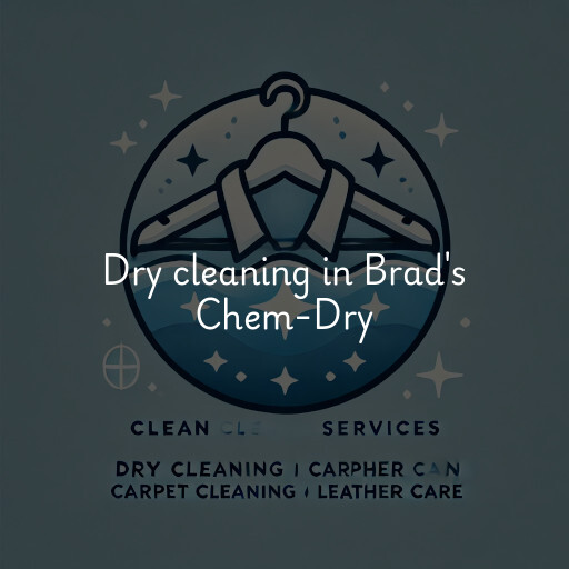 Dry cleaning services Brad's Chem-Dry