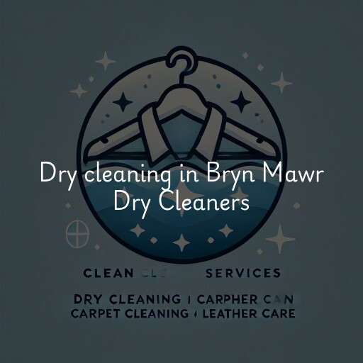Dry cleaning services Bryn Mawr Dry Cleaners