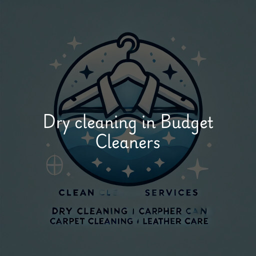 Dry cleaning services Budget Cleaners