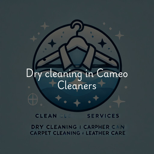 Dry cleaning services Cameo Cleaners