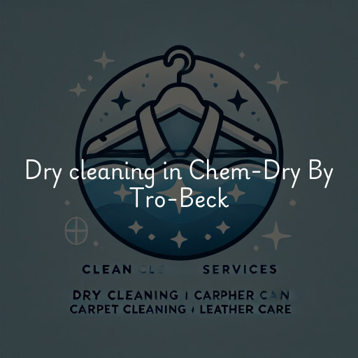 Dry cleaning services Chem-Dry By Tro-Beck