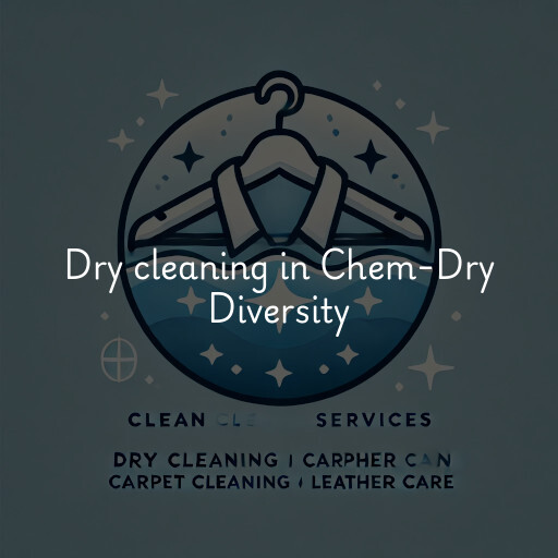 Dry cleaning services Chem-Dry Diversity