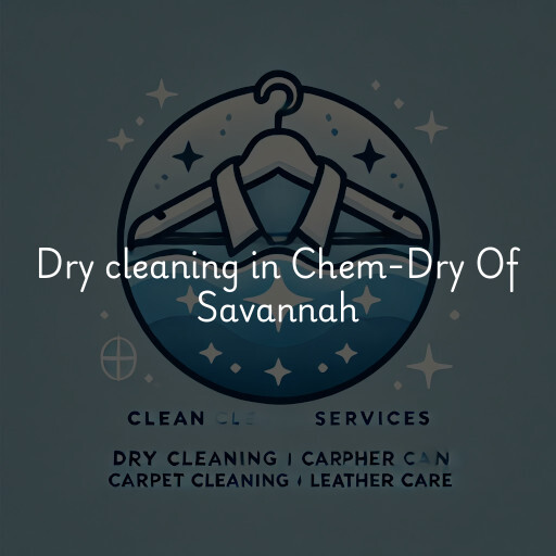 Dry cleaning services Chem-Dry Of Savannah