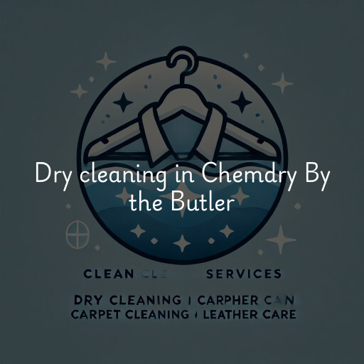 Dry cleaning services Chemdry By the Butler