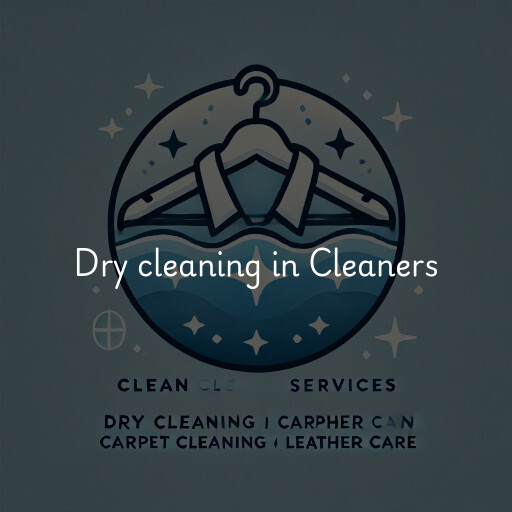 Dry cleaning services Cleaners