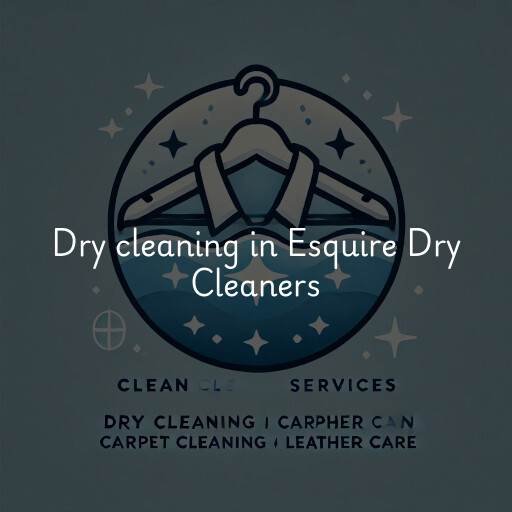 Dry cleaning services Esquire Dry Cleaners