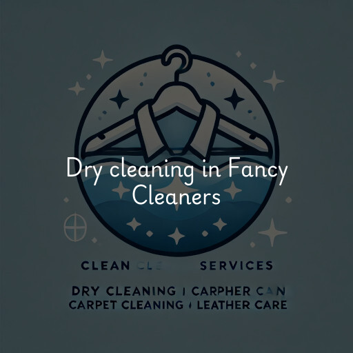 Dry cleaning services Fancy Cleaners
