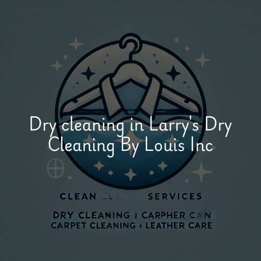 Dry cleaning services Larry's Dry Cleaning By Louis Inc