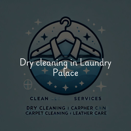 Dry cleaning services Laundry Palace