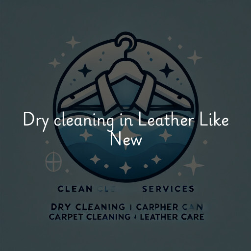 Dry cleaning services Leather Like New