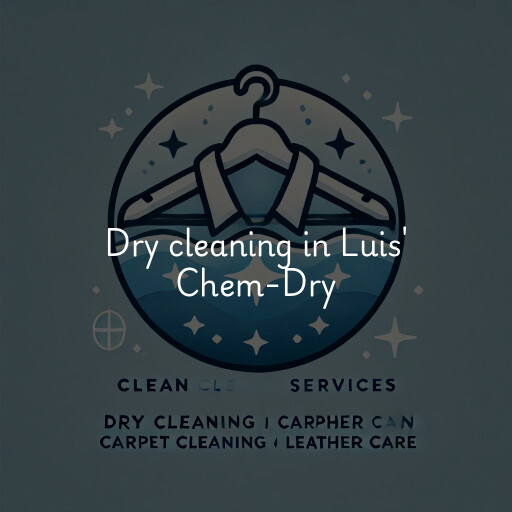 Dry cleaning services Luis' Chem-Dry