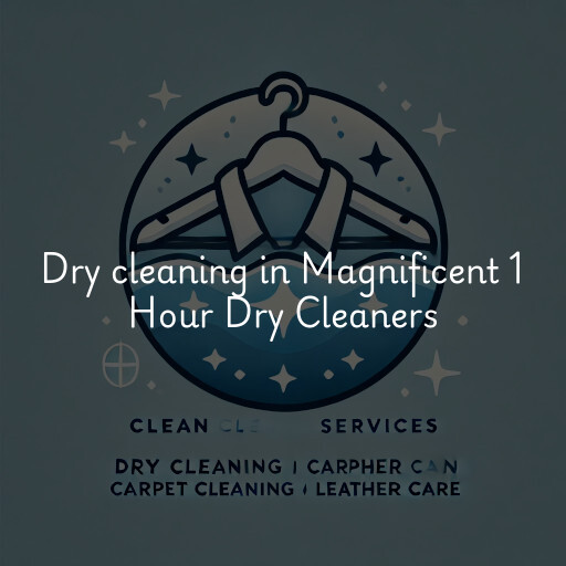 Dry cleaning services Magnificent 1 Hour Dry Cleaners
