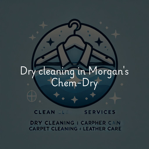 Dry cleaning services Morgan's Chem-Dry