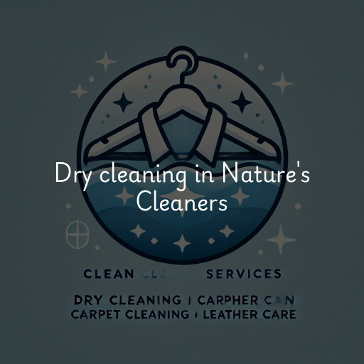 Dry cleaning services Nature's Cleaners