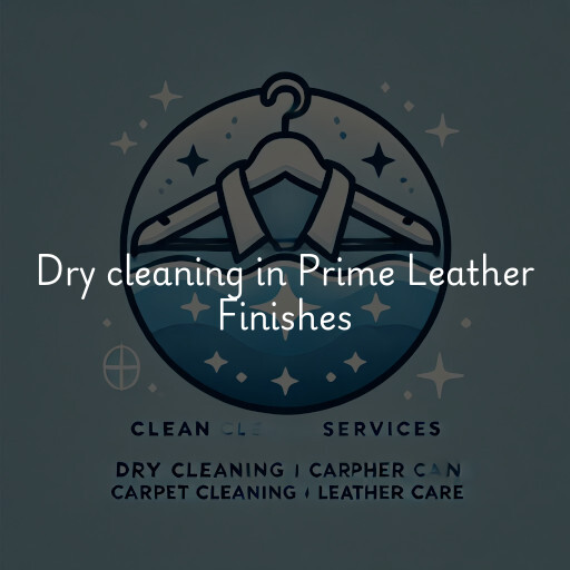 Dry cleaning services Prime Leather Finishes