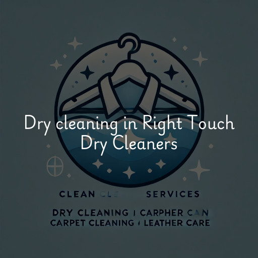 Dry cleaning services Right Touch Dry Cleaners