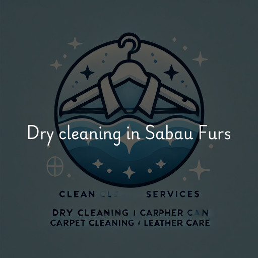 Dry cleaning services Sabau Furs