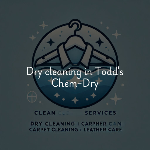 Dry cleaning services Todd's Chem-Dry