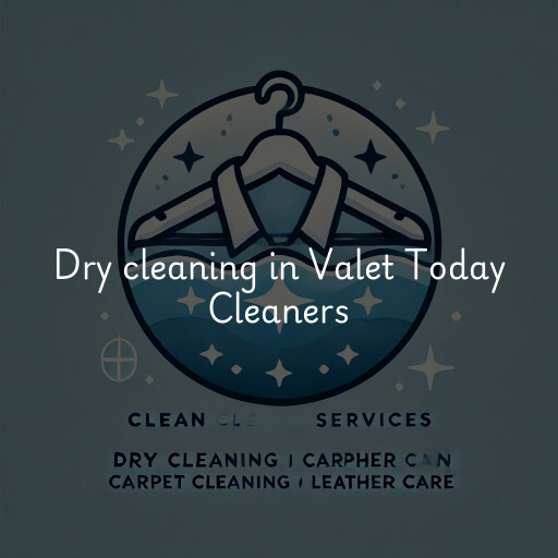 Dry cleaning services Valet Today Cleaners
