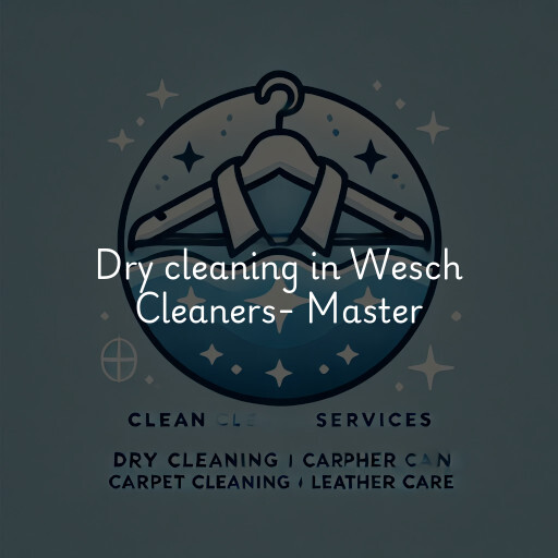 Dry cleaning services Wesch Cleaners- Master