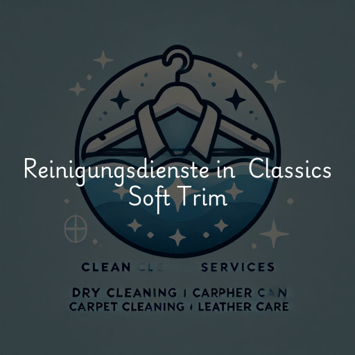 Reinigungsdienste in Classics Soft Trim