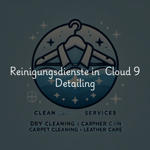 Reinigungsdienste in Cloud 9 Detailing