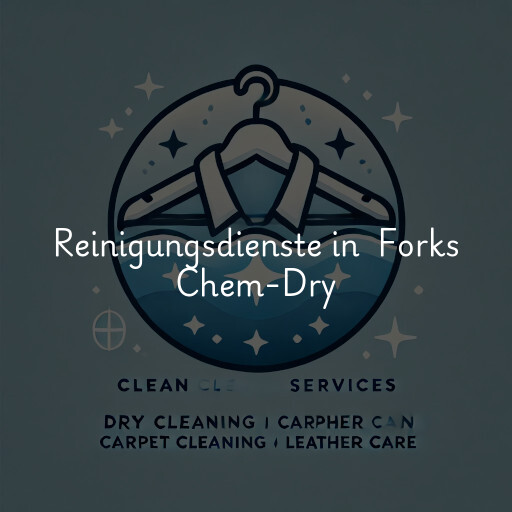 Reinigungsdienste in Forks Chem-Dry