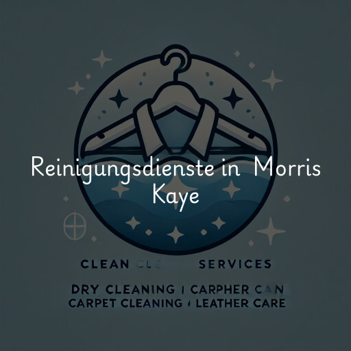 Reinigungsdienste in Morris Kaye & Sons Furs