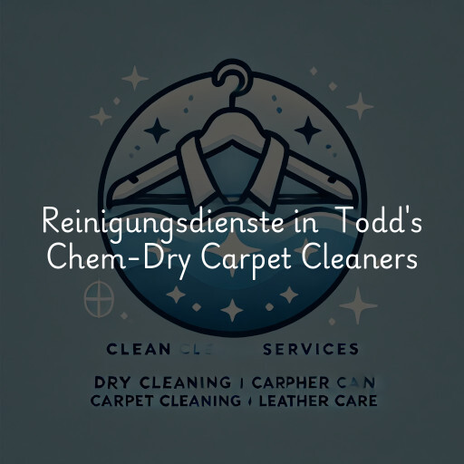 Reinigungsdienste in Todd's Chem-Dry Carpet Cleaners