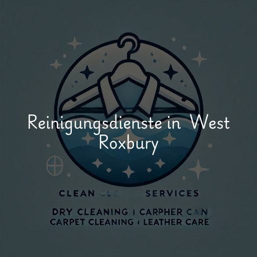 Reinigungsdienste in West Roxbury
