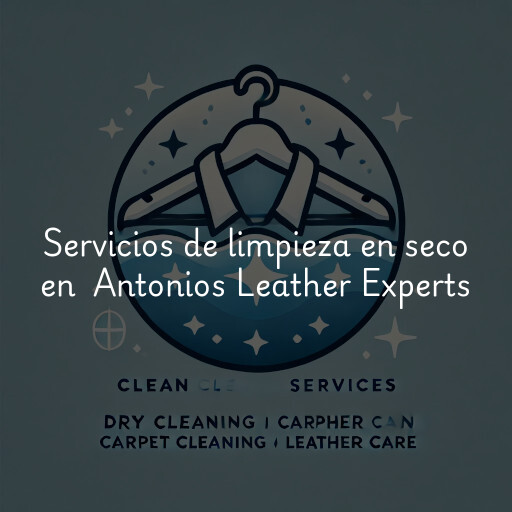 Servicios de limpieza en seco en Antonios Leather Experts