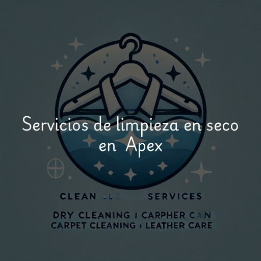 Servicios de limpieza en seco en Apex