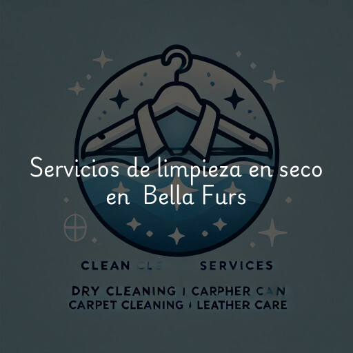 Servicios de limpieza en seco en Bella Furs