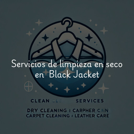 Servicios de limpieza en seco en Black Jacket