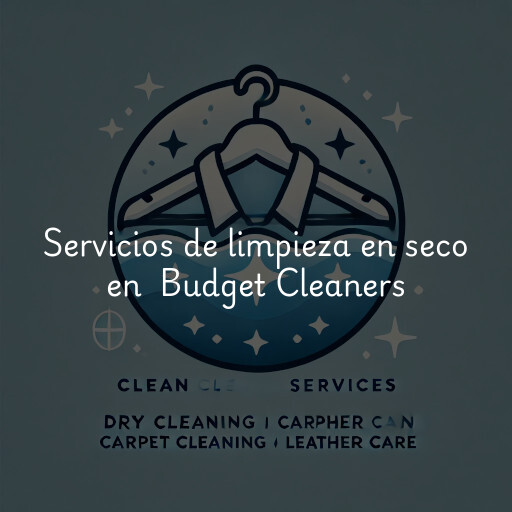 Servicios de limpieza en seco en Budget Cleaners