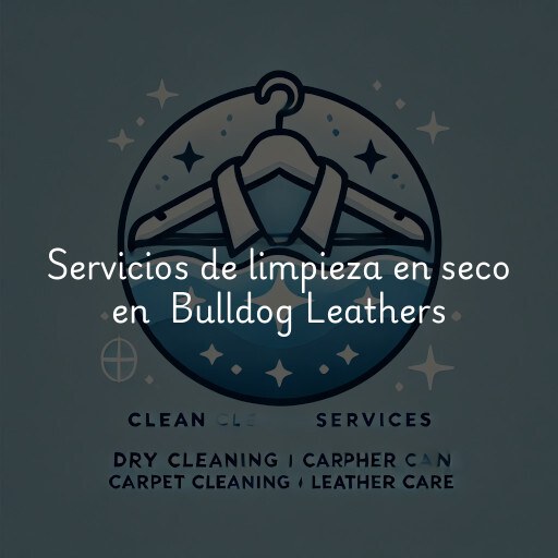 Servicios de limpieza en seco en Bulldog Leathers