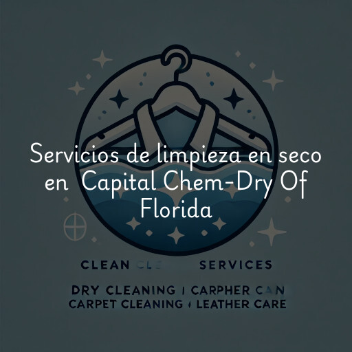 Servicios de limpieza en seco en Capital Chem-Dry Of Florida