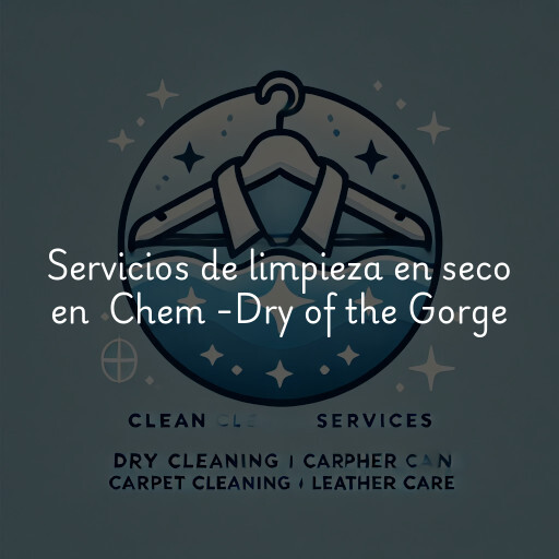 Servicios de limpieza en seco en Chem -Dry of the Gorge