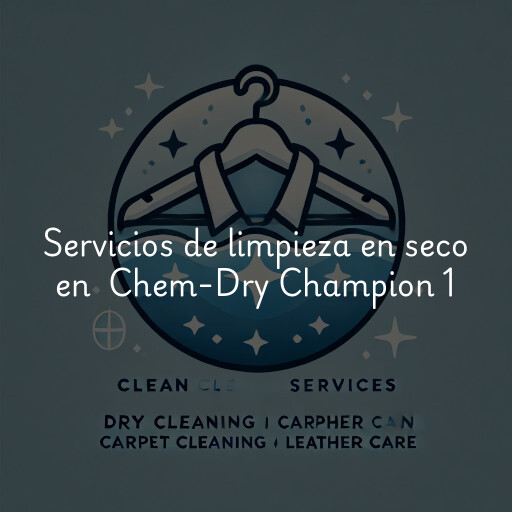 Servicios de limpieza en seco en Chem-Dry Champion 1 & 2