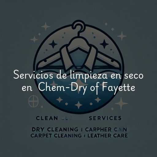 Servicios de limpieza en seco en Chem-Dry of Fayette